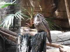 aquarium Baltimore MD