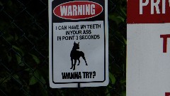 sign WARNING I can have my teeth in your ass in point 3 seconds