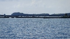 Ferry Park; Bermuda,
