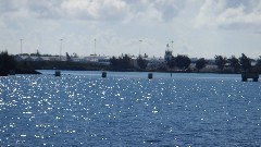 Ferry Park; Bermuda,