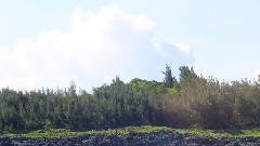 Bermuda