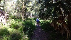 Ruth Bennett McDougal Dorrough; Railway Trail; Bermuda,