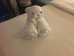Towel Animal