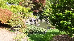 Brooklyn Botanical Gardens