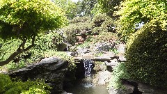 Japanese Garden Brooklyn Botanical Gardens