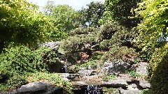 Japanese Garden Brooklyn Botanical Gardens
