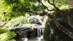 Brooklyn Botanical Gardens