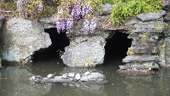 Japanese Garden; Brooklyn Botanical Gardens