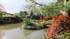 Japanese Garden; Brooklyn Botanical Gardens