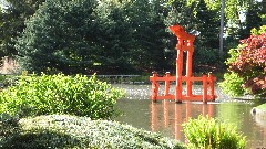 Japanese Garden; Brooklyn Botanical Gardens