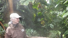 Brooklyn Botanical Gardens