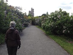 Brooklyn Botanical Gardens