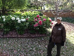 Ruth Bennett McDougal Dorrough; Japanese Garden; Brooklyn Botanical Gardens