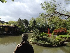 Ruth Bennett McDougal Dorrough; Japanese Garden; Brooklyn Botanical Gardens