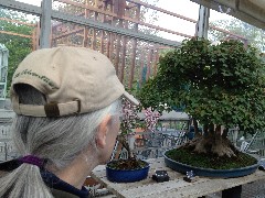 Ruth Bennett McDougal Dorrough; Brooklyn Botanical Gardens