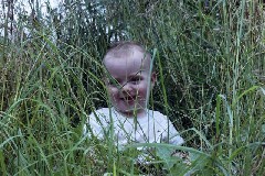 Jacob Wheeler; Catskills Family Trips