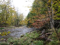 Beaverkill Stream; Trips; Catskills; Beaverkill Valley Inn