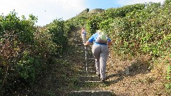 Ruth Bennett McDougal Dorrough; Sue Paterson; Channel Islands; Gurnsey