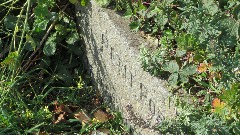 sign Petit Port
