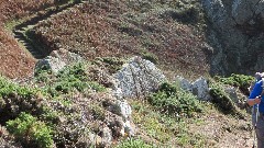 Sue Paterson; Channel Islands; Guernsey