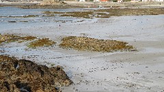 walking on the beach; Channel Islands; Guernsey