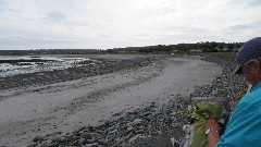 Sue Paterson; Channel Islands; Guernsey
