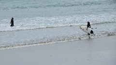 surfers; Channel Islands; Guernsey