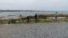 Ruth Bennett McDougal Dorrough; Jean Bub; Sue Paterson; Channel Islands; GUernsey