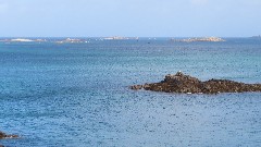 Channel Islands; Herm