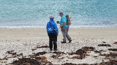 Ruth Bennett McDougal Dorrough; Sue Paterson; Channel Islands; Herm; Shell Beach