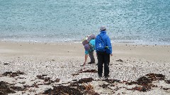 Ruth Bennett McDougal Dorrough; Sue Paterson; Channel Islands; Herm; Shell Beach