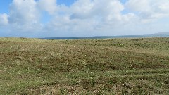 Channel Islands; Herm