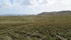 Channel Islands; Herm