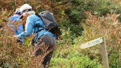 Jean Bub; Channel Islands; Sark