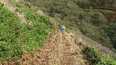 Sue Paterson; Channel Islands; Sark