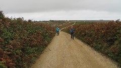 Sue Paterson; Jean Bub; Channel Islands; Sark