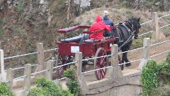 horse cart; Channel Islands; Sark