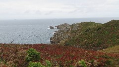 Channel Islands; Sark