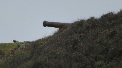 artillery gun emplacement; Channel Islands; Sark