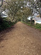 Channel Islands; Sark