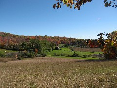 Moose Lodge (in the distance)