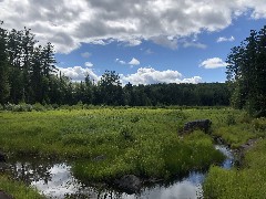 Chittenango; Creek Walk; Chittenango, NY