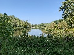Cornell Plantation, NY