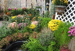 Highland Park Conservatory Rochester