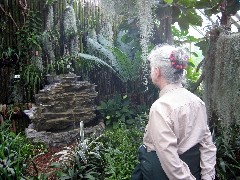 Ruth Dorrough; Highland Park Conservatory Rochester