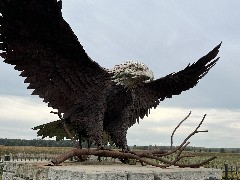 Montezuma; eagle statue; Montezuma, NY