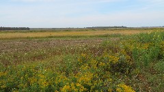 Montezuma Wildlife Sanctuary