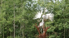 Montezuma Wildlife Sanctuary