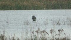 Montezuma Wildlife Sanctuary