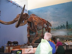 Lyn Jacobs; Trips; Day_Trips; Museum Earth Ithaca